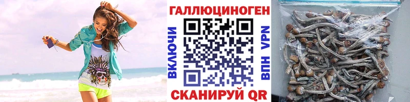 Купить где  Горячий Ключ  Галлюциногенные грибы прущие грибы 